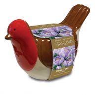 Striped Crocus Indoor Robin Planter