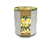 Narcissus Minnow Ceramic Leaf Embossed Indoor Planter