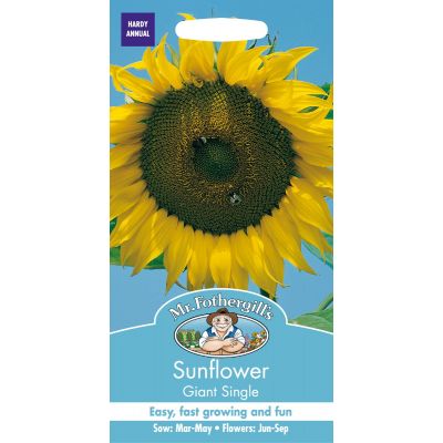 Sunflower Giant Single 