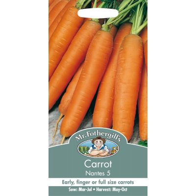 Carrot (Nantes 5)