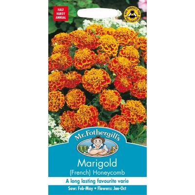 Marigold Honeycomb 