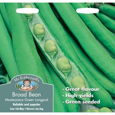Broad Bean Masterpiece Green Longpod  