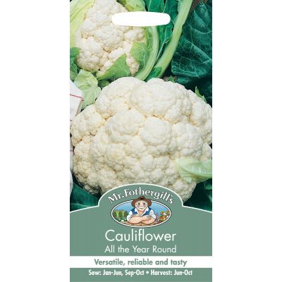Cauliflower (All the Year Round)