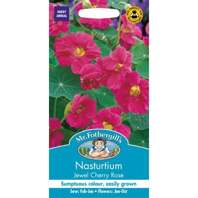 Nasturtium Jewel Cherry Rose 