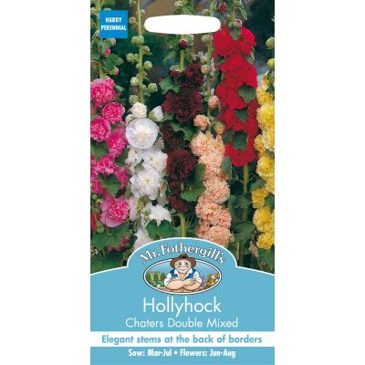 Hollyhock Chatersdouble Mix  