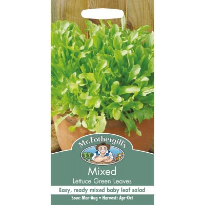Mixed Lettuce (Green Leaves)