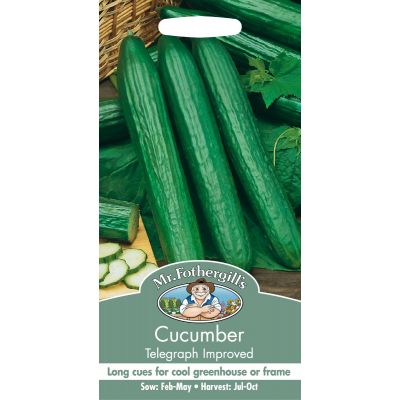  Cucumber (Telegraph Improved)