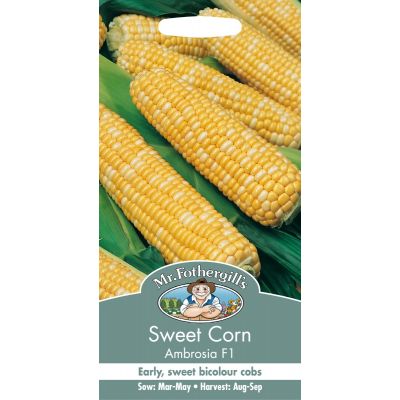 Sweet Corn (Ambrosia F1)