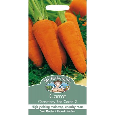 Carrot (Chantenay Red Cored 2)