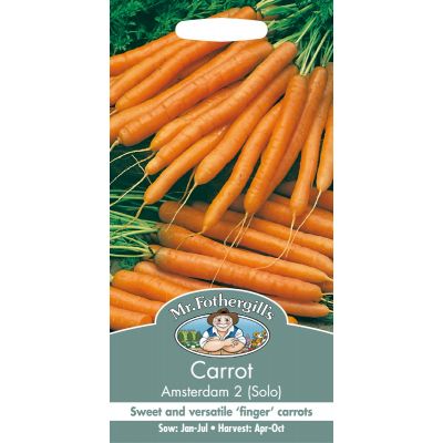 Carrot (Amsterdam 2/Solo)
