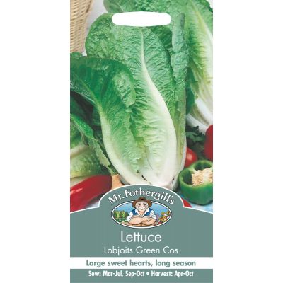 Lettuce (Lobjoits Green Cos)