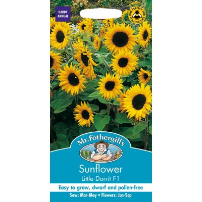 Sunflower Little Dorrit F1 
