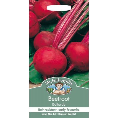 Beetroot (Boltardy)