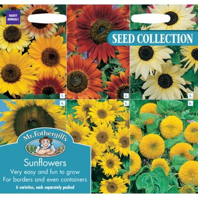 Sunflower Collection 