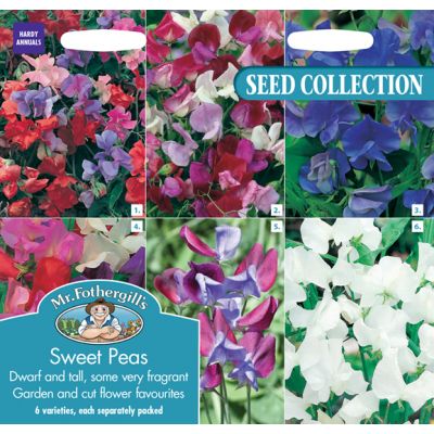 Sweet Pea Collection  