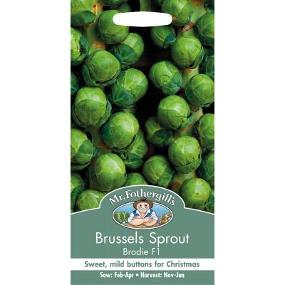 Brussels Sprout Brodie F1  