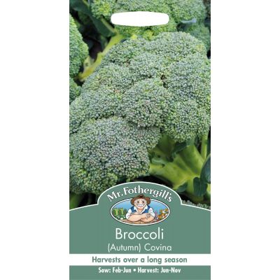 Broccoli (Autumn/Covina)