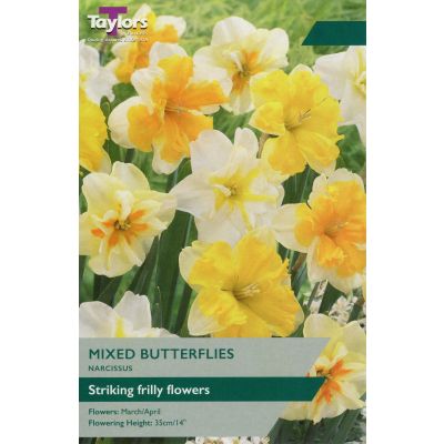 Narcissus Mixed Butterflies Bulbs
