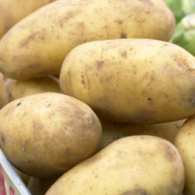 Seed Potatoes 2KG