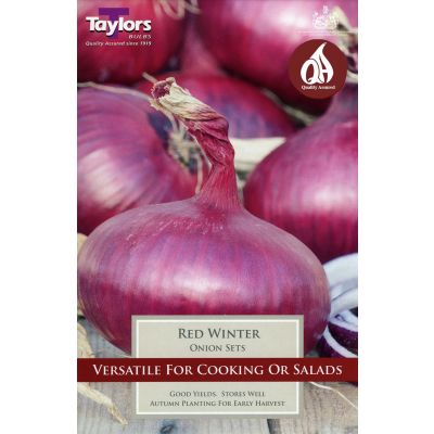 Red Winter Onion Sets