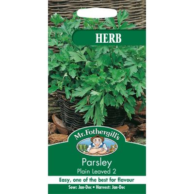 Parsley Plain Leaved 2 