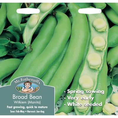 Broad Bean (Witkiem/Manita)