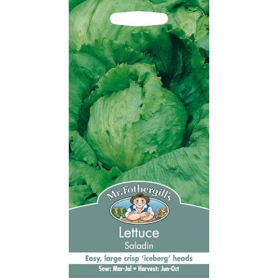 Lettuce (Saladin)