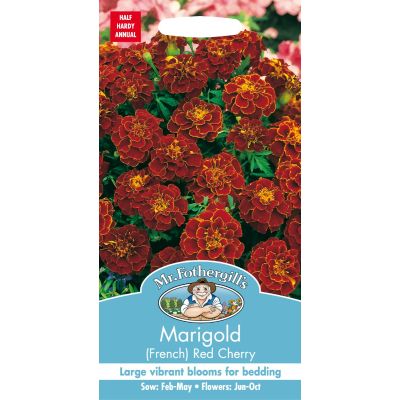 Marigold Red Cherry 