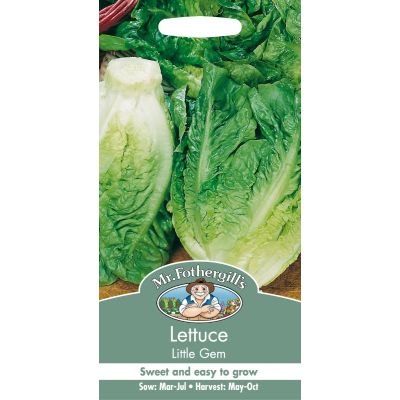 Lettuce (Little Gem)