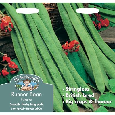 Runner Bean (Polestar)