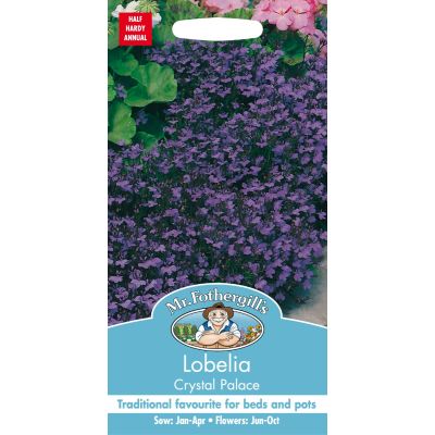 Lobelia Crystal Palace 