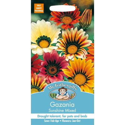 Gazania Sunshine Mixed 