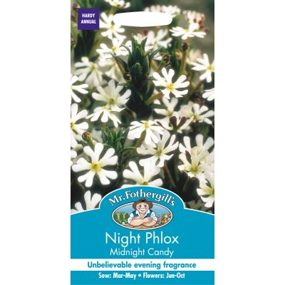 Night Phlox Midnight Candy 