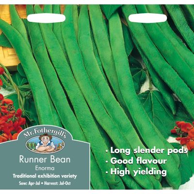 Runner Bean (Enorma)