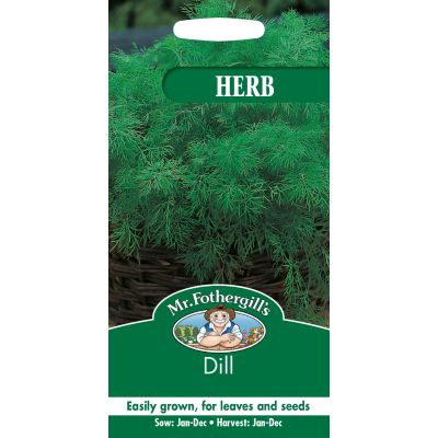 Dill  