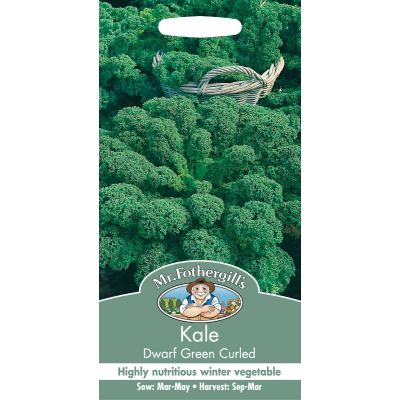 Kale (Dwarf Green Curled)