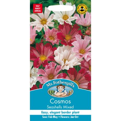 Cosmos Seashells Mixed 