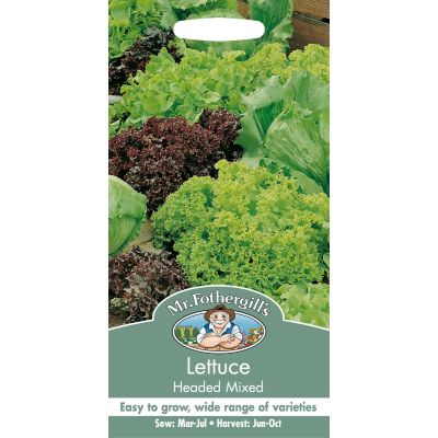 Lettuce (Headed Mixed)