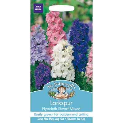 Larkspur Hyacinth Dwarf Mixed