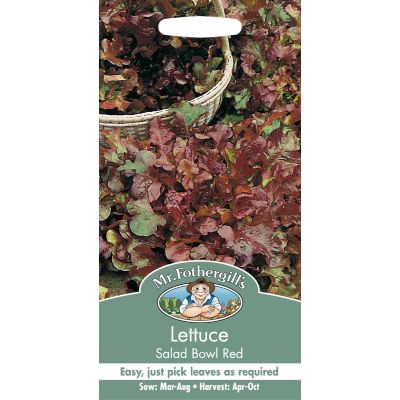Lettuce (Salad Bowl Red)