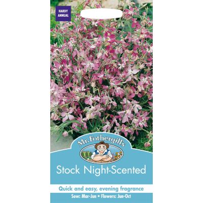 Stock Night Scented 