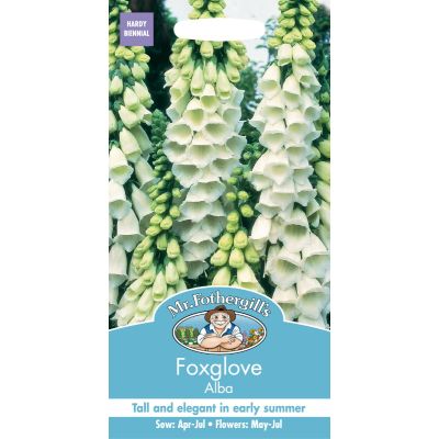 Foxglove Alba  