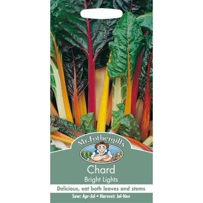 Chard (Bright Lights)