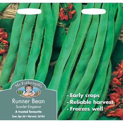 Runner Bean (Scarlet Emperor)