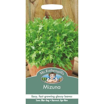 Mizuna  