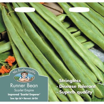 Runner Bean (Scarlet Empire)