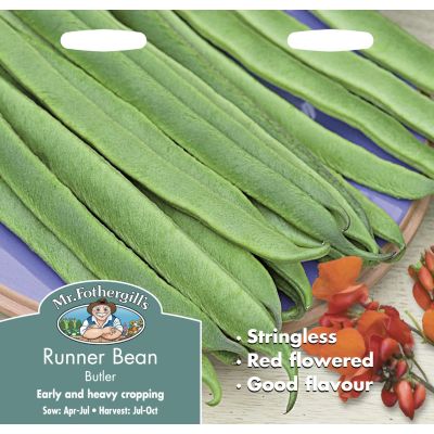 Runner Bean (Butler)