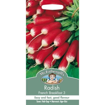 Radish (French Breakfast 3)