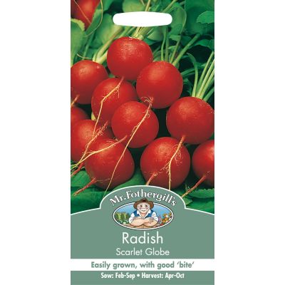 Radish (Scarlet Globe)