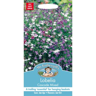 Lobelia Cascade Mix 
